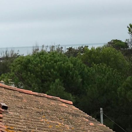 Vias Plage : Residence Securisee Bord De Mer Exterior foto